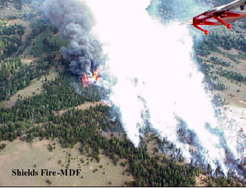 Smokejumpers at Modoc National Forest