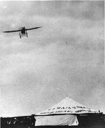 Ovington's Dragonfly