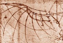 Leonardo's drawing of a wing