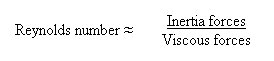 Reynolds number equation