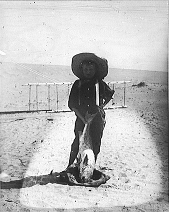 please see caption below