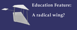 Education Feature: A radical wing?