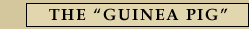 The Guniea Pig